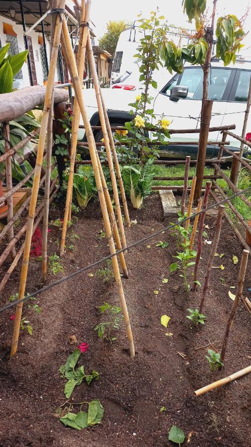 Jardines Del Acebron ξενώνας El Rocío Εξωτερικό φωτογραφία